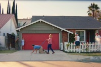 Dog-Lover