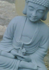 Somerset Buddha